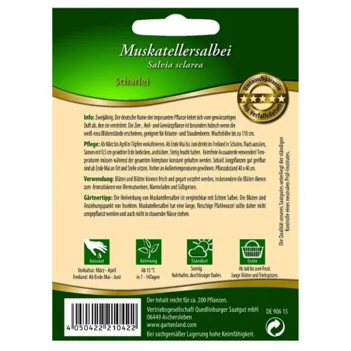 Muskatellersalbei kaufen, Salbei