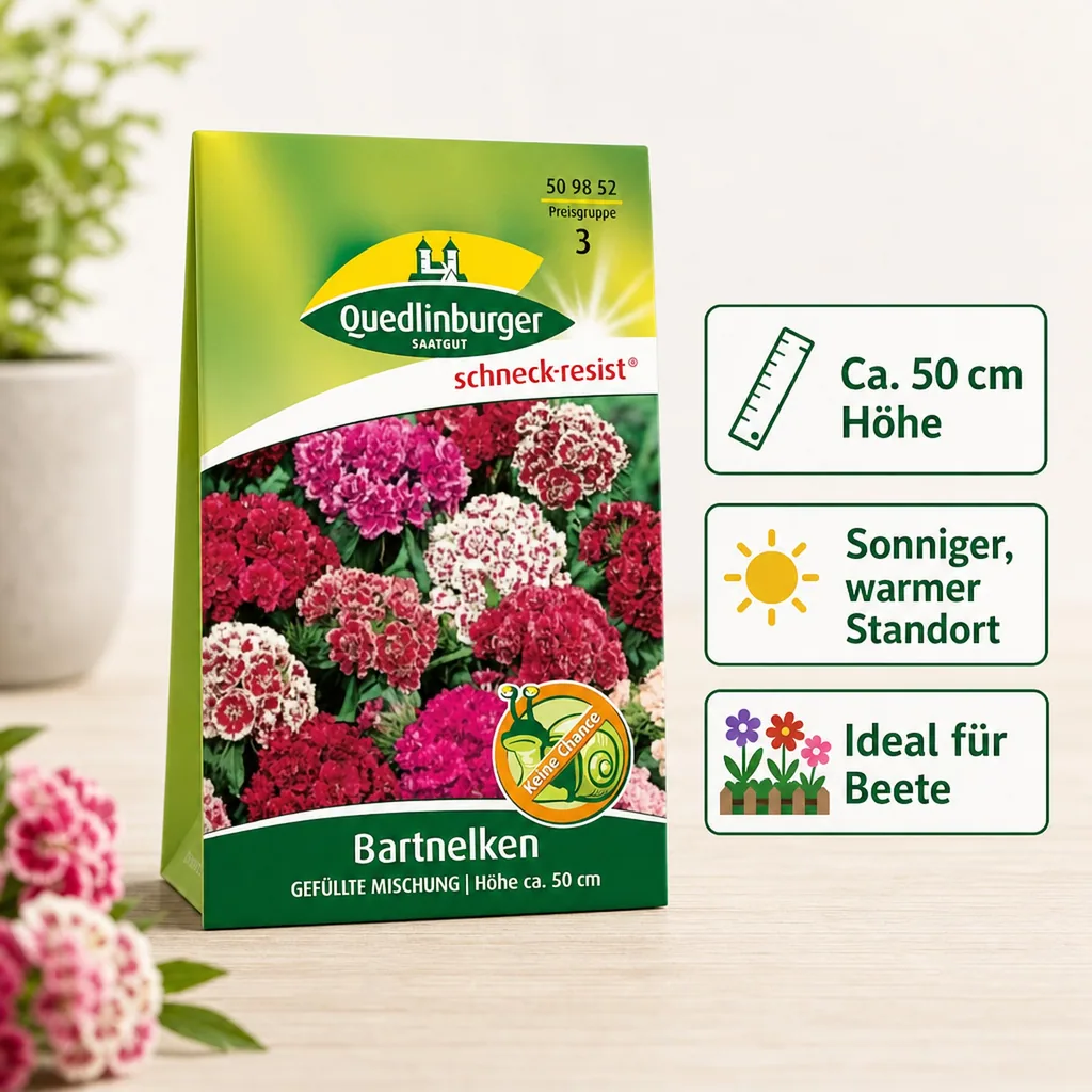 Bartnelke, Gefüllte Mischung, Bunte Blumenmischung