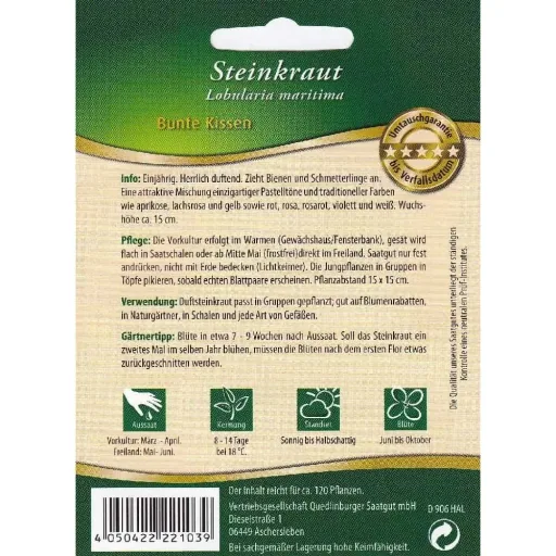 Steinkraut kaufen, Duftsteinkraut, Sommerblumen, Bienenfreundliche Pflanzen