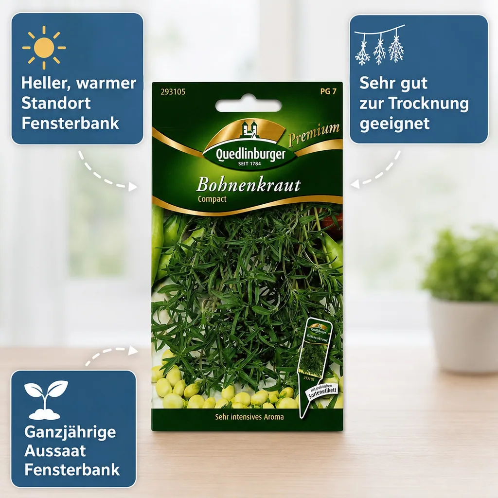Topf- Bohnenkraut, Compact