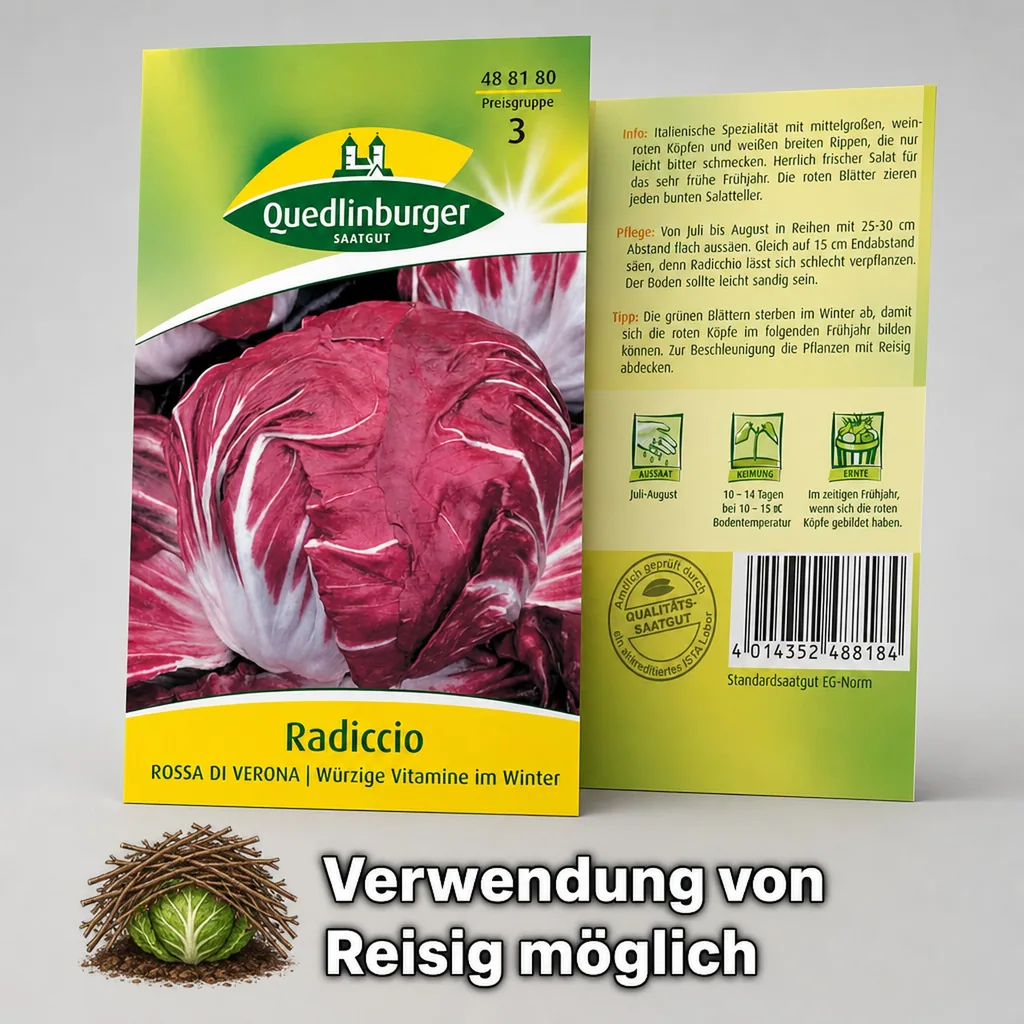 Radicchio, Rossa di Verona