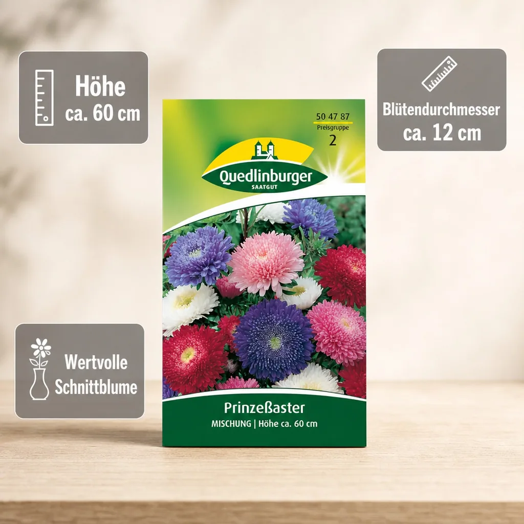 Aster Samen, Mischung, Bunte Astern, Sommerblumen