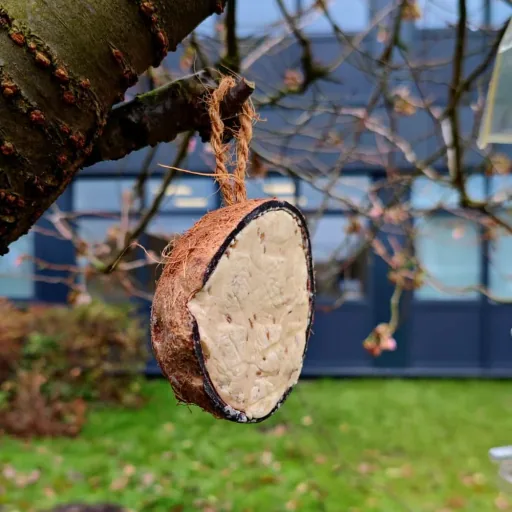 Wildvogelfutter 0.18kg Kokosnuss, Halbe Kokosnuss für Wildvögel