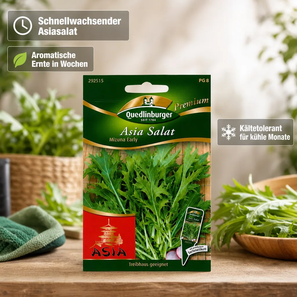 Asiasalat, Mizuna Salat, Salatsamen, Blattgemüse, Early