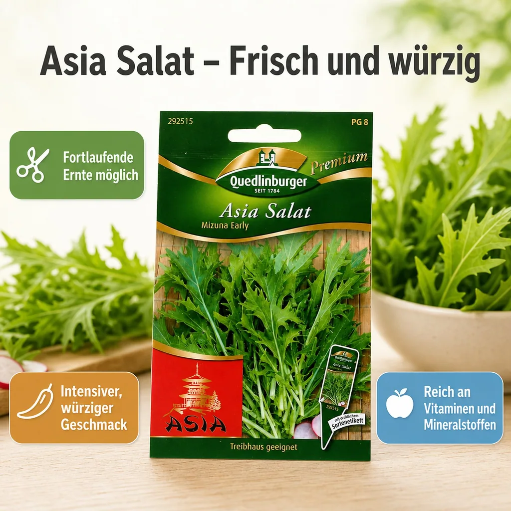 Asiasalat, Mizuna Salat, Salatsamen, Blattgemüse, Early