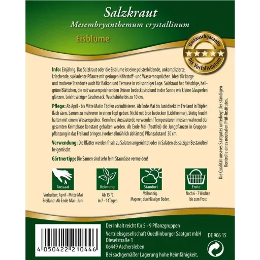 Salzkraut kaufen, Eisblume, Salzkraut Samen, essbar