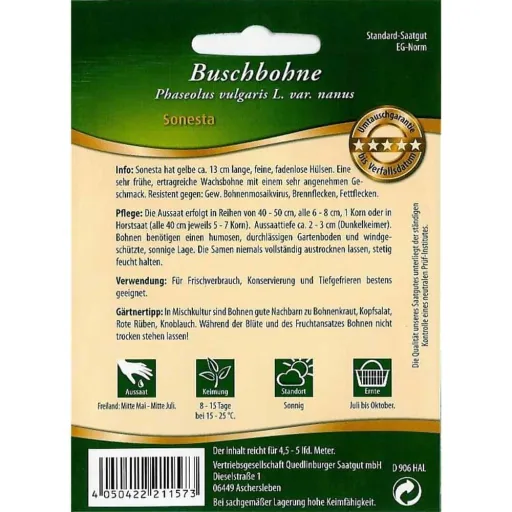 Buschbohnen kaufen, Sonesta, gelbe Wachsbohne