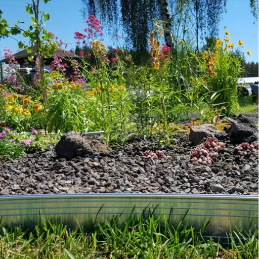 10er Set Ultra Starke Alu Rasenkanten 10cm x 1m (10m lang) | Beeteinfassung | Beetumrandung | Beetbegrenzungen, Color-GS: ohne Farbe