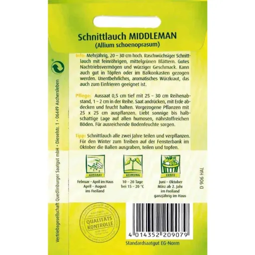 Schnittlauch kaufen, mehrjährig Shop, pflegeleicht & aromatisch