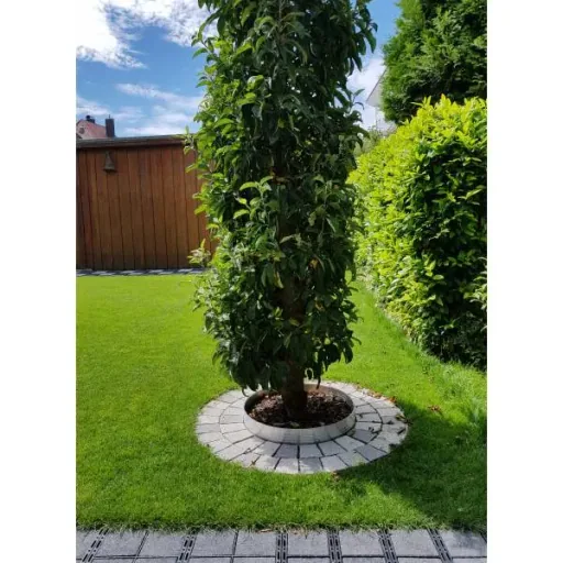 Ultra Starke Alu Rasenkanten Höhe: 10-14-24 cm, Länge: 1- 30 m | Beeteinfassung | Beetumrandung | Beetbegrenzungen, Breite: 14 cm; Menge: 10 Stück