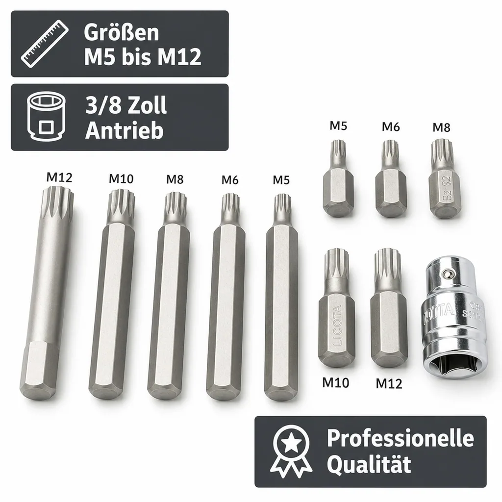 Bit Satz, Vielzahn, Spline, S2 Stahl, M5-M12, 3/8 Zoll, mit Halter
