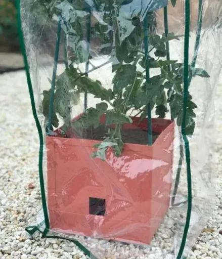 Netzcover "Maxitom" für Pflanzturm mit Rankgitter
