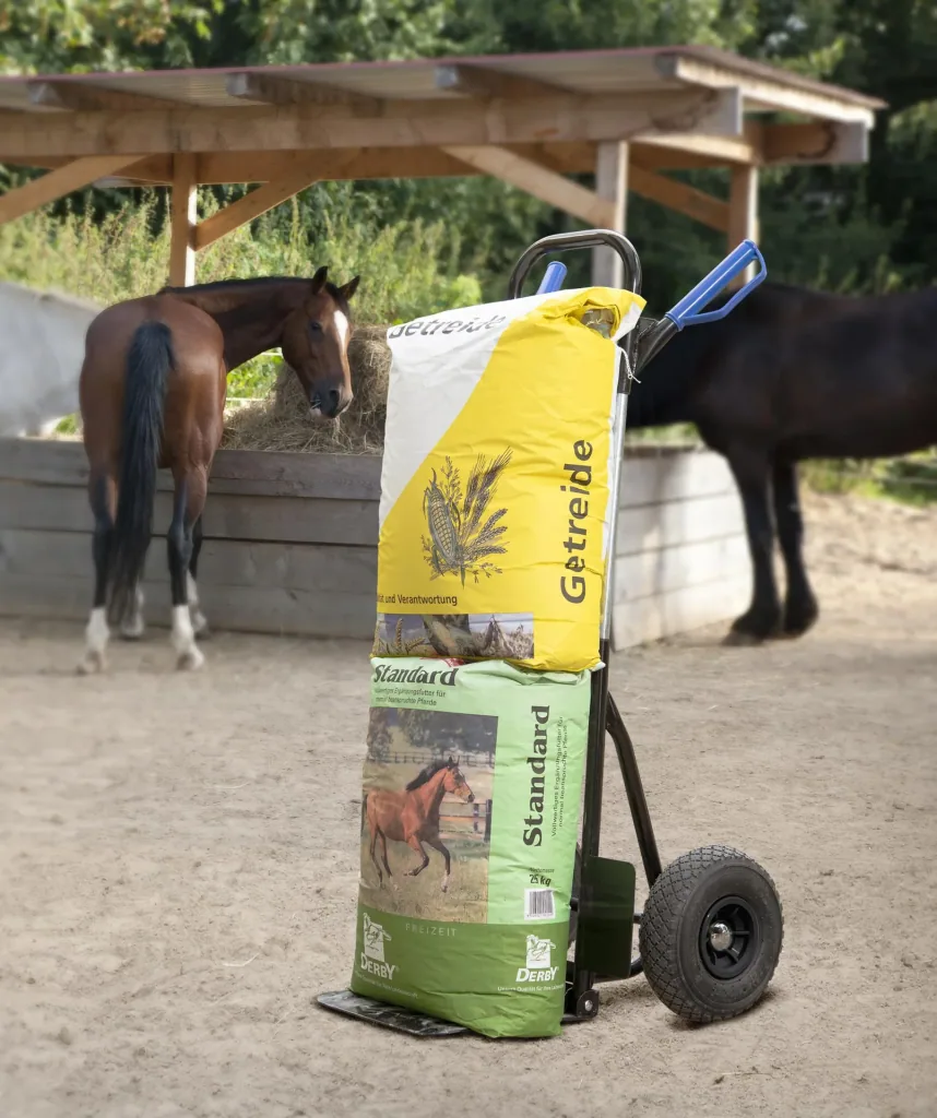 Sackkarre kompakt, klappbar, 200 kg Tragkraft