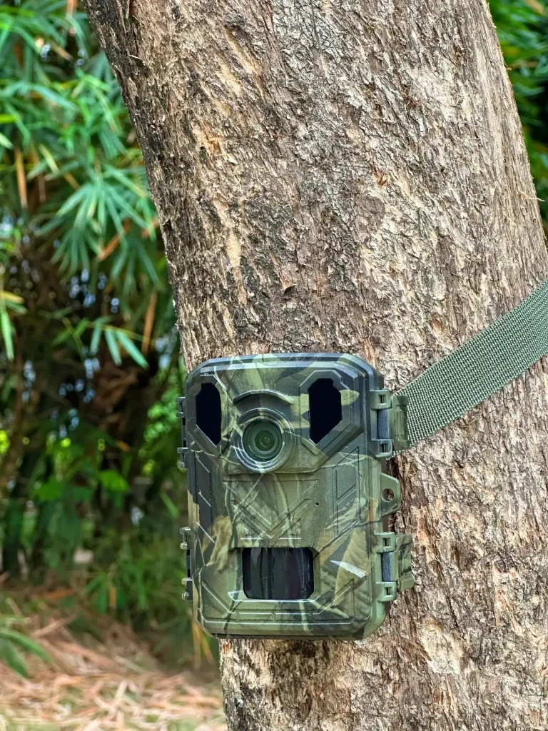 Wildkamera