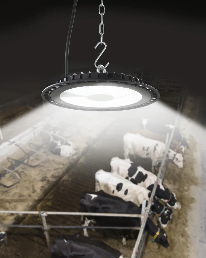 LED-Hallenstrahler, 100 Watt, 11000 Lumen, Lichtfarbe wählbar, fernbedienbar