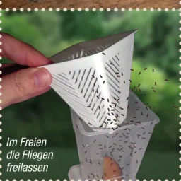 Fruchtfliegenfalle - Lebendfalle