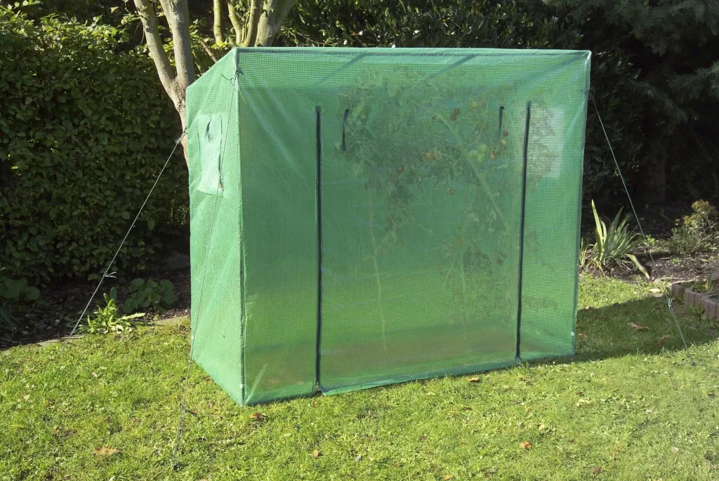 Tomaten Gewächshaus "Groß", ca. 200 x 77 x 170 cm, LxBxH