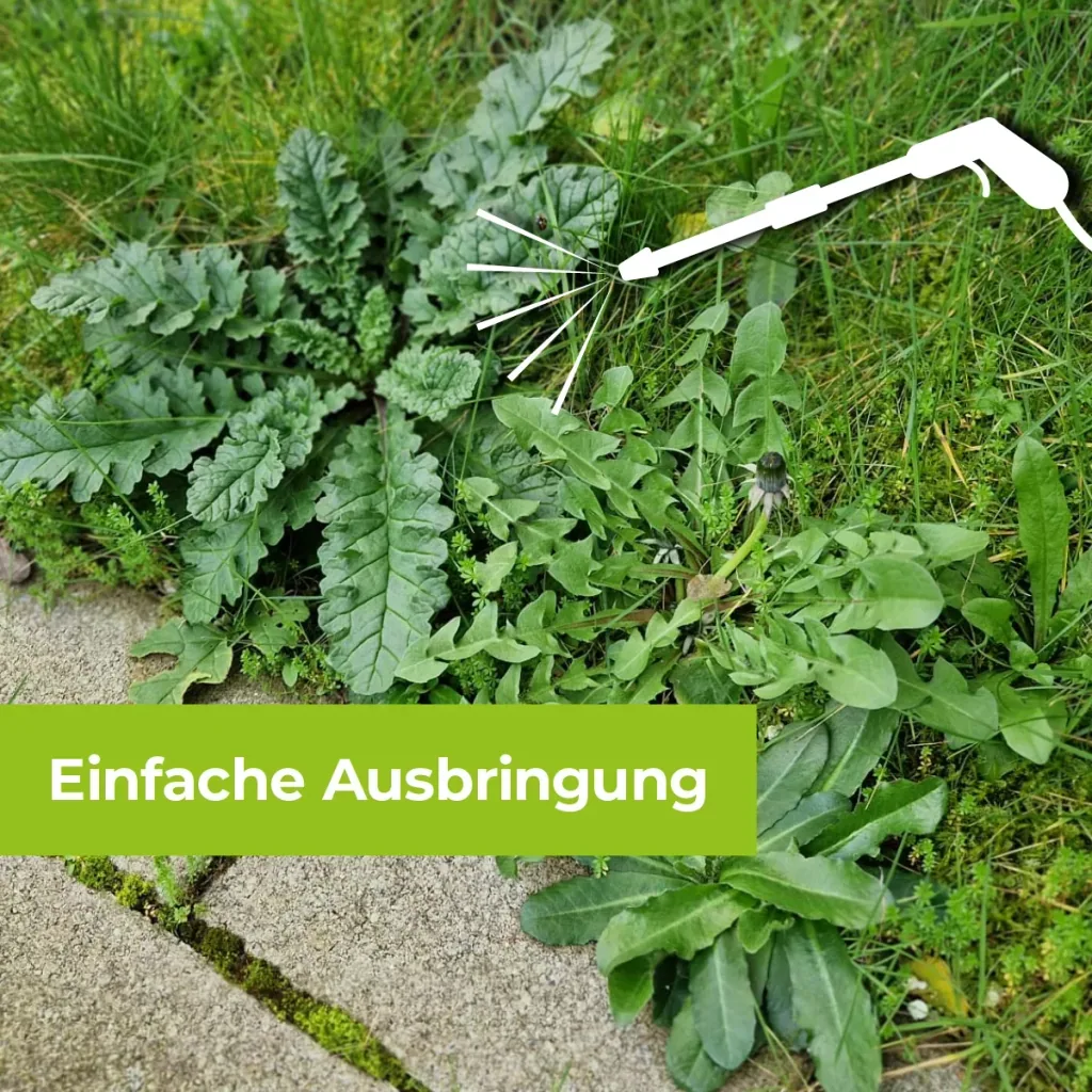 Permaclean Grundstoff Acetum 5 L