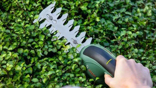 Akku-Strauch- und -Grasscheren-Set EasyShear