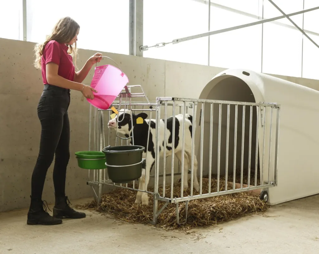Kälber Tränkeeimer 8 l, rosa transparent mit Skala