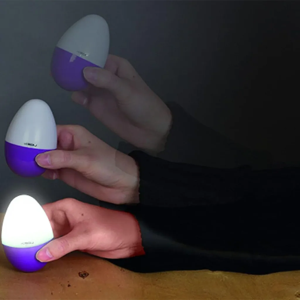 LED Dekolicht in Eiform