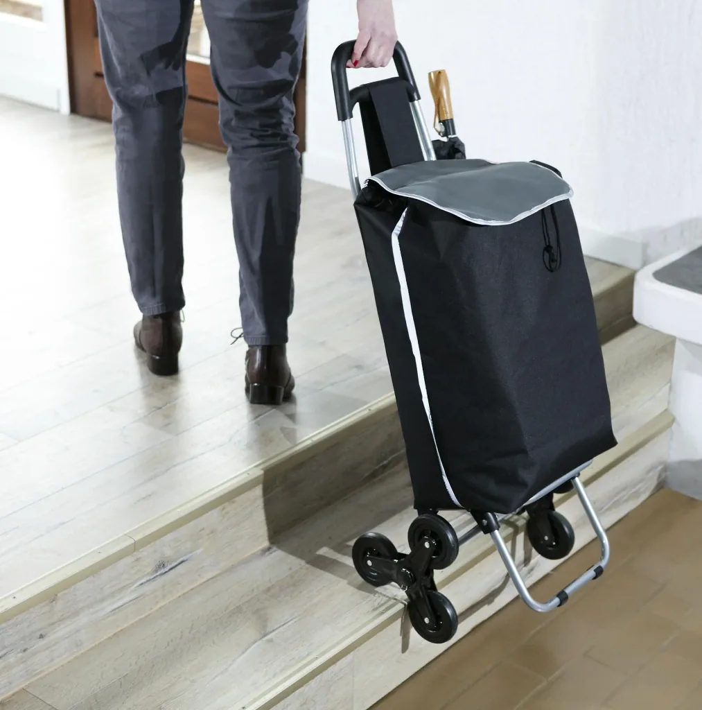 Einkaufsroller/Einkaufswagen VARIO