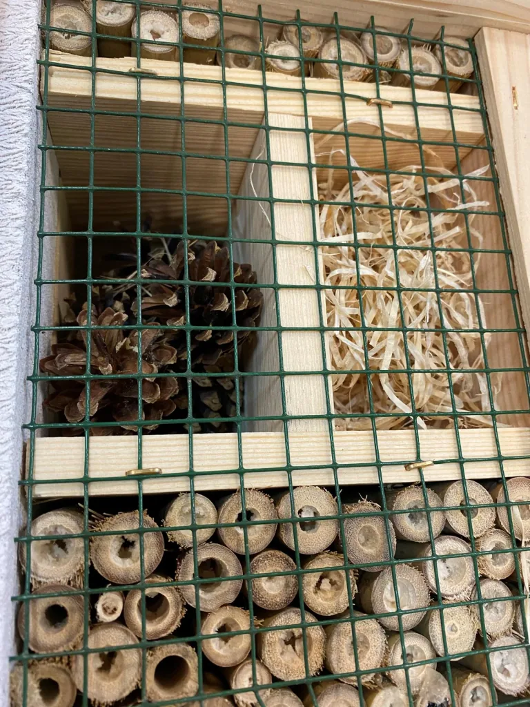 Insektenhotel "Kempten"