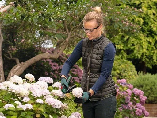 Akku-Gartenschere Easy Prune Classic
