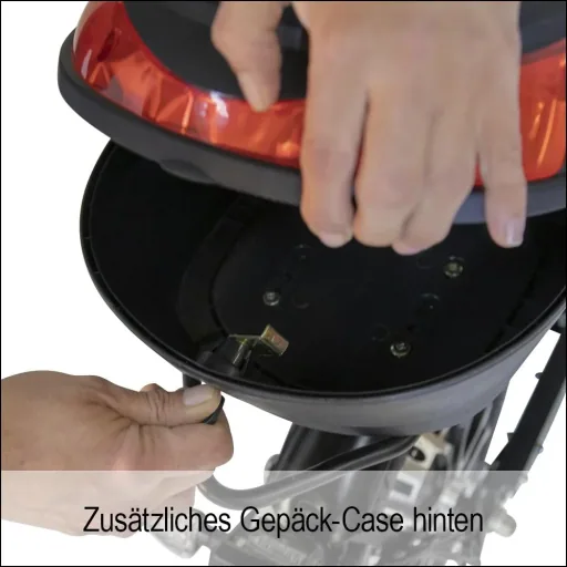 E-Roller "Revoluzzer" Safety 20 km/h inklusive Blinkanlage und Gepäck-Case schwarz