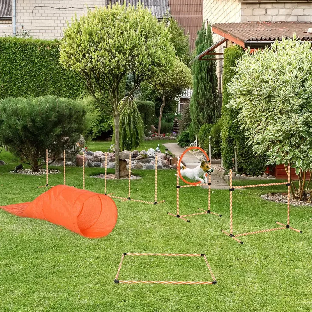 Hunde Agility Set Hundetrainigsset mit Hundetunnel Training für Haustiere Inklusive Tasche Leicht zu tragen Kunststoff P