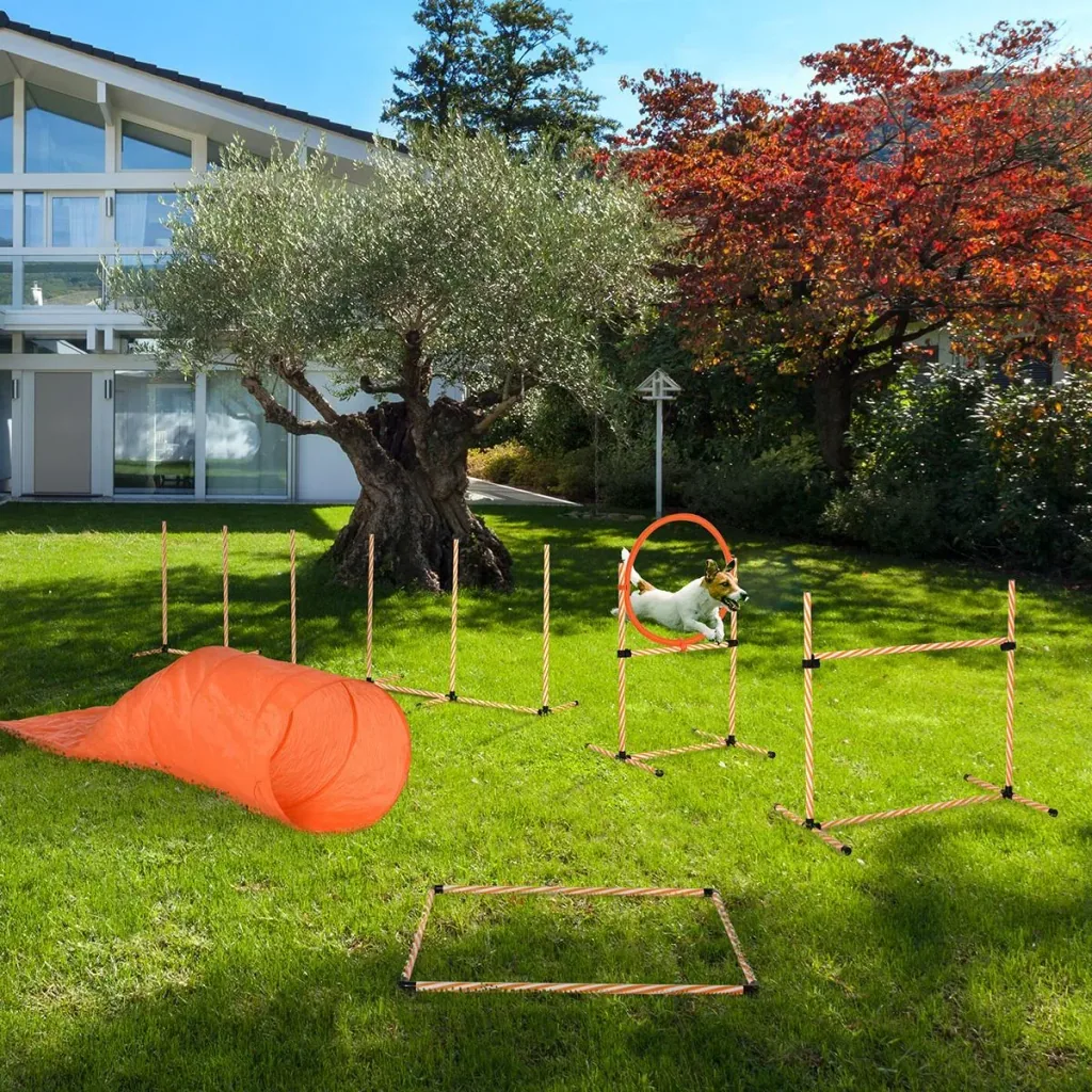 Hunde Agility Set Hundetrainigsset mit Hundetunnel Training für Haustiere Inklusive Tasche Leicht zu tragen Kunststoff P