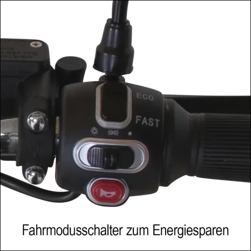 Kompakt E-Roller "Roma" 45 km/h weiß