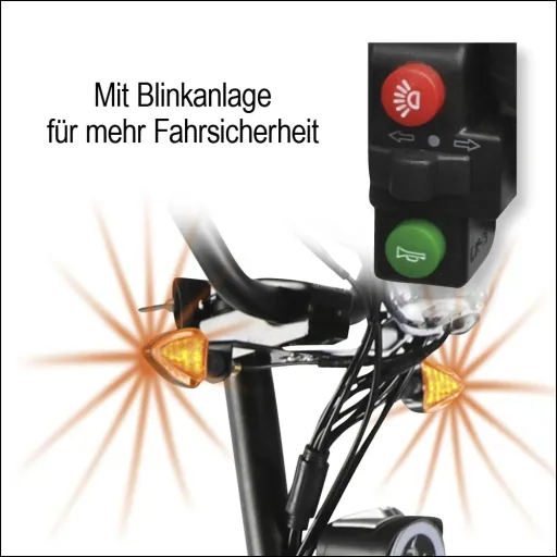 E-Roller "Revoluzzer" Safety Plus 20 km/h inklusive Blinkanlage, Gepäck-Case und Lithium-Akku schwarz