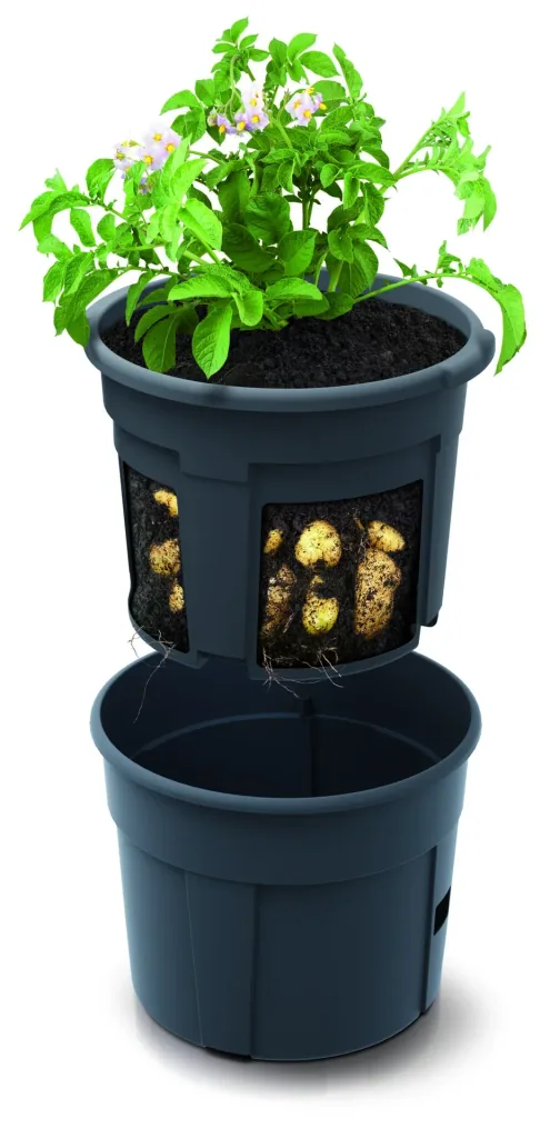 Anzuchttopf für Kartoffeln, Durchmesser 295 mm - anthrazit