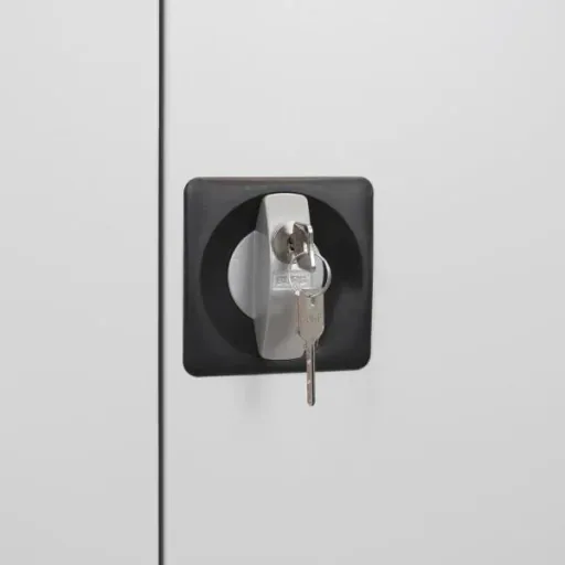 Flügeltürschrank RAL 7035, 195x92x60cm