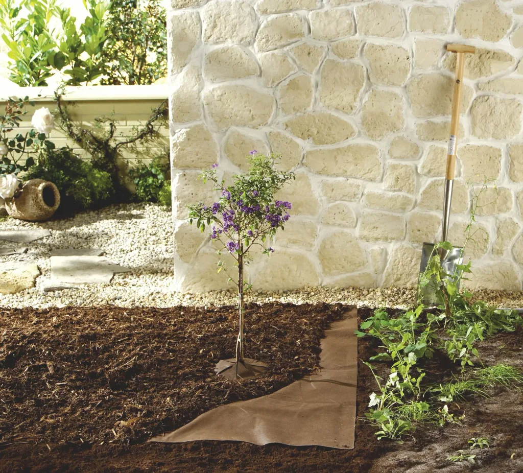 BIO MULCH VLIES 10X3M + Erdnägel