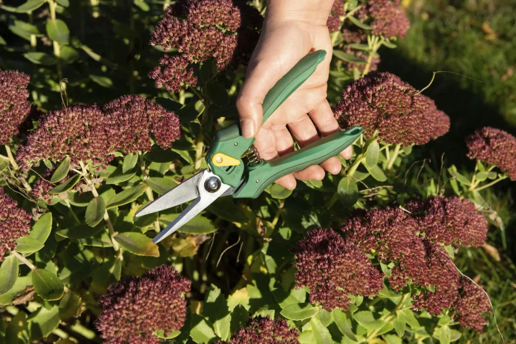 Einhand-Gartenschere, Floristen-Ausführung