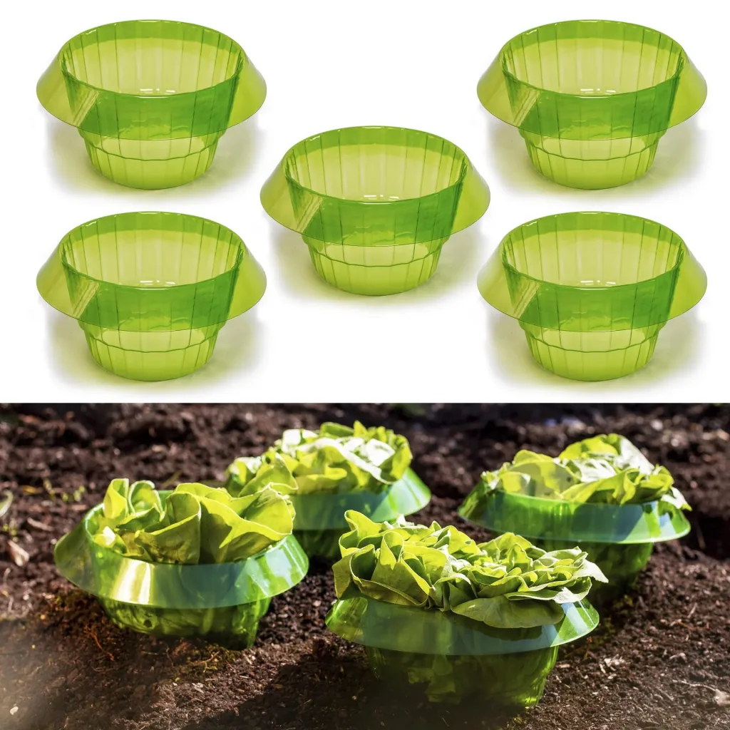 Salatringe, Schneckenschutz, Grün, 5 Stück