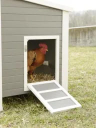 Eco-Kunststoffstall "Barney" für Hühner - UV- und wetterbeständig
