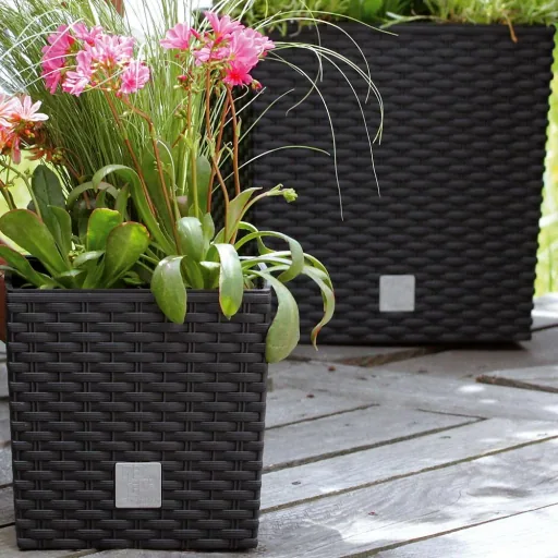 Blumentopf Rato Low Umbra mit Blumentopf 64L 39x39x40,5cm