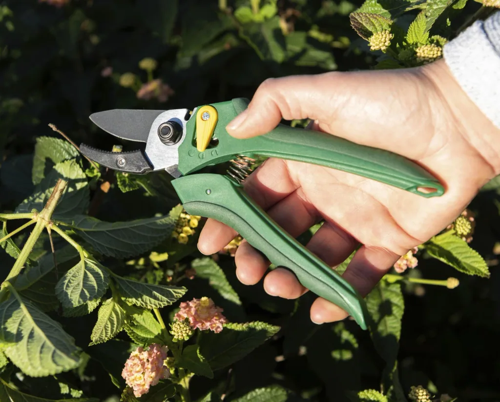 Einhand-Gartenschere