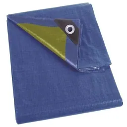 Abdeckung - Blau - 6x10m