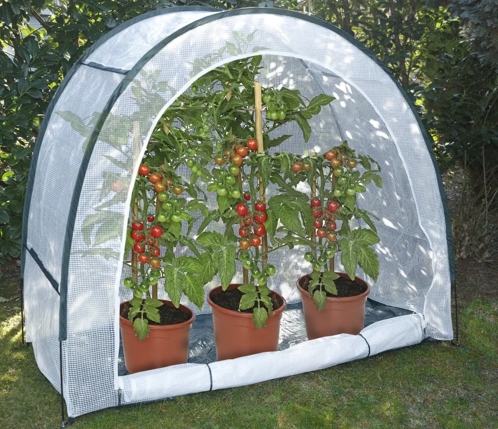 Anzucht- und Überwinterungszelt, 200 x 80 x 170 cm