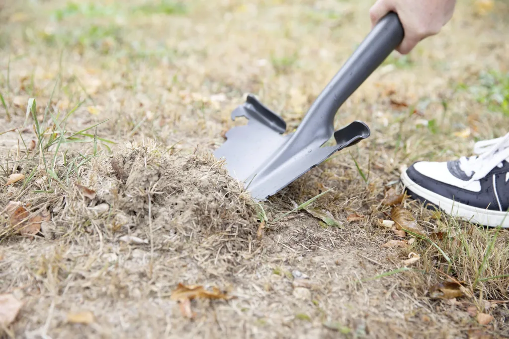 Hammersmith Rayzer Shovel