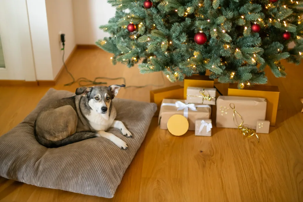 Evergreen Künstlicher Weihnachtsbaum Vermont Fichte 210 cm | Inkl. LEDs