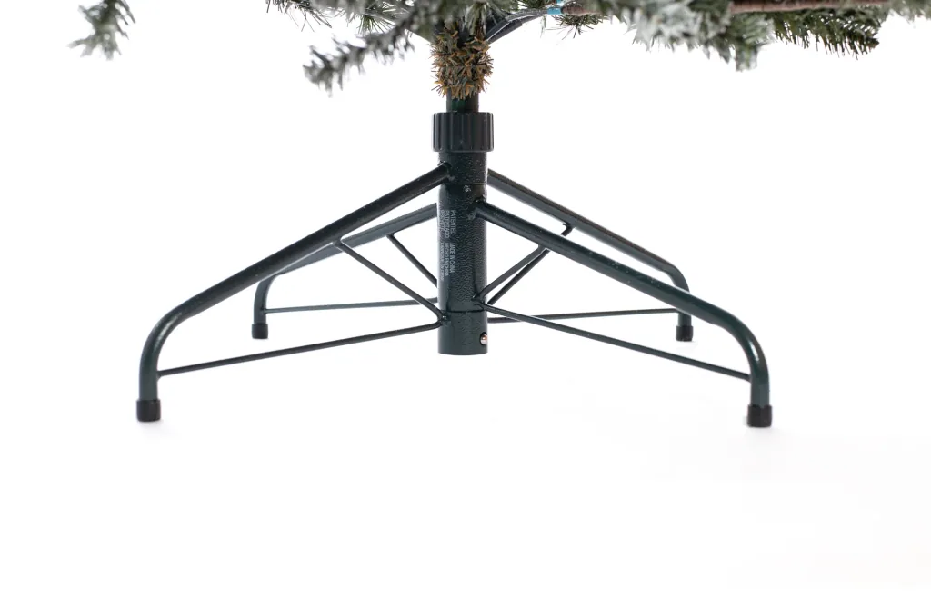 Evergreen Cedar Kiefer Frost 210 cm