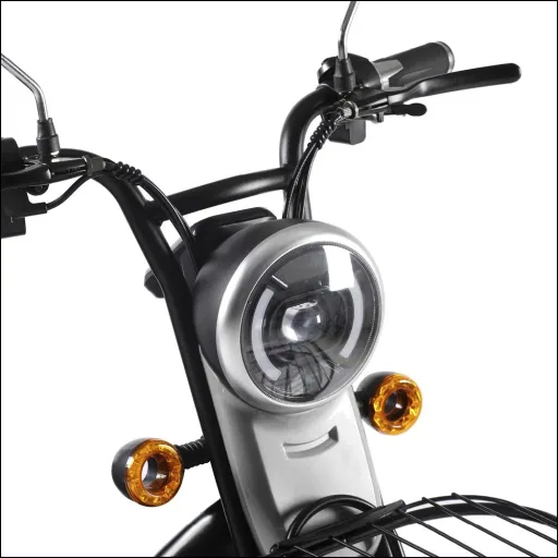 3-Rad E-Mobil Bari 6 km/h: 48V/20Ah Blei-Gel, blau