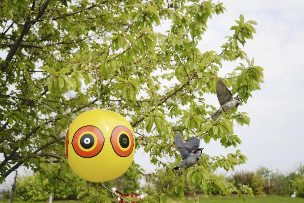 Vogelfrei Ballon 2er Set