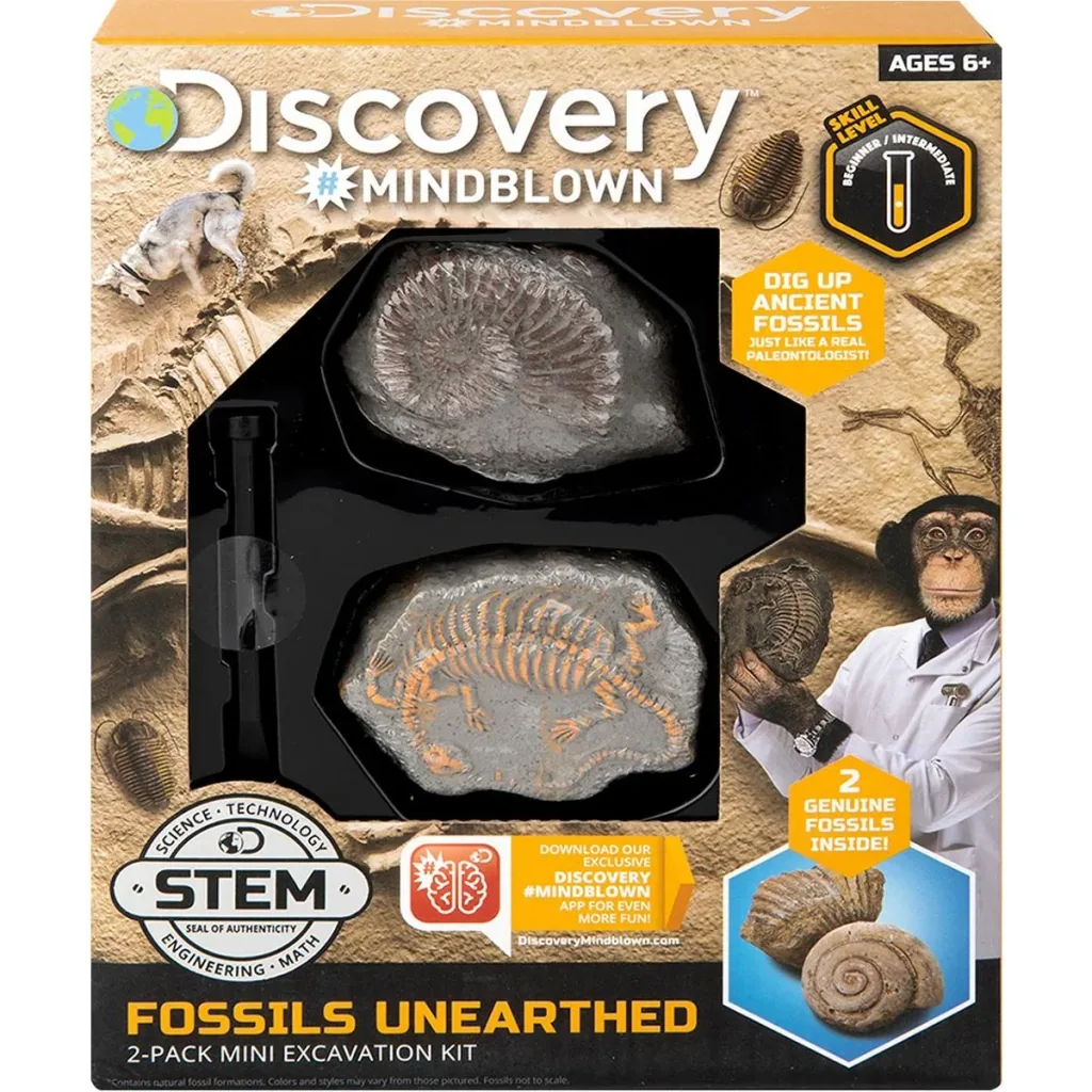 Discovery Mindblow - Fossilienausgrabung - Grabungsset - 2 Stück Archäologie
