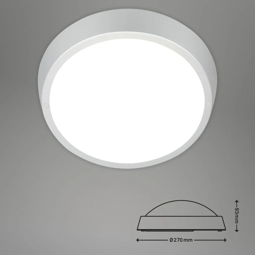HAGEN LED Außenleuchte, Wand- und Deckenleuchte, silberfarben, IP44, 24 Watt, 2.160 lm, 4.000 K